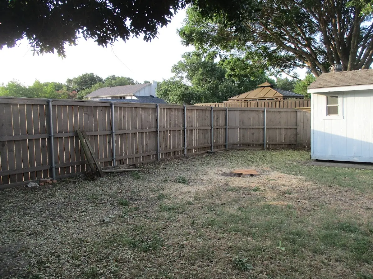 Cleared yard after professional tree removal in Kentwood