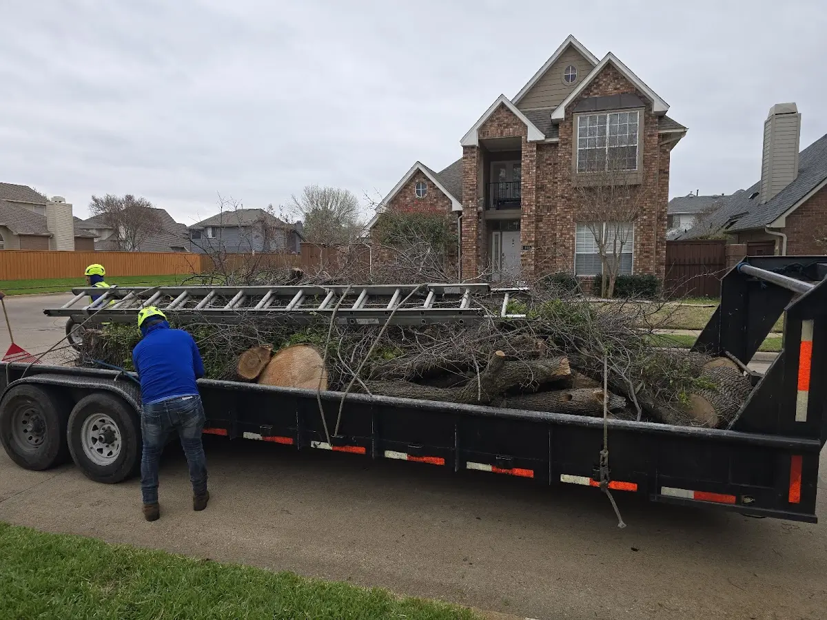 Expert Tree Removal with proper safety equipment in Kentwood